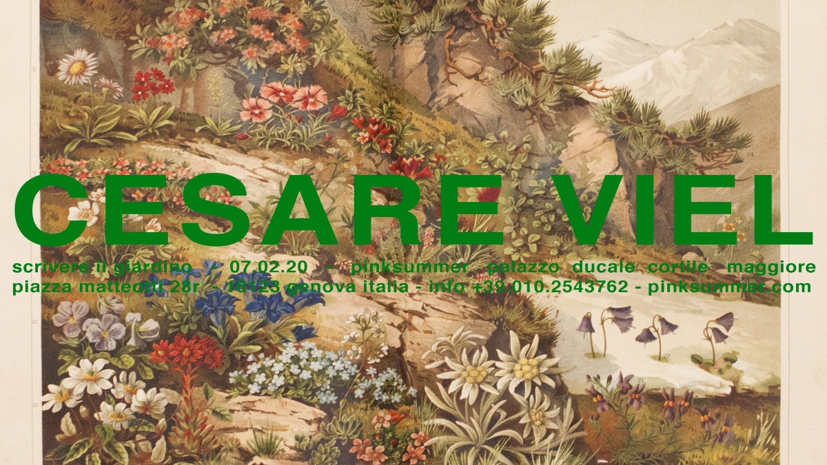 Cesare Viel - Scrivere il giardino